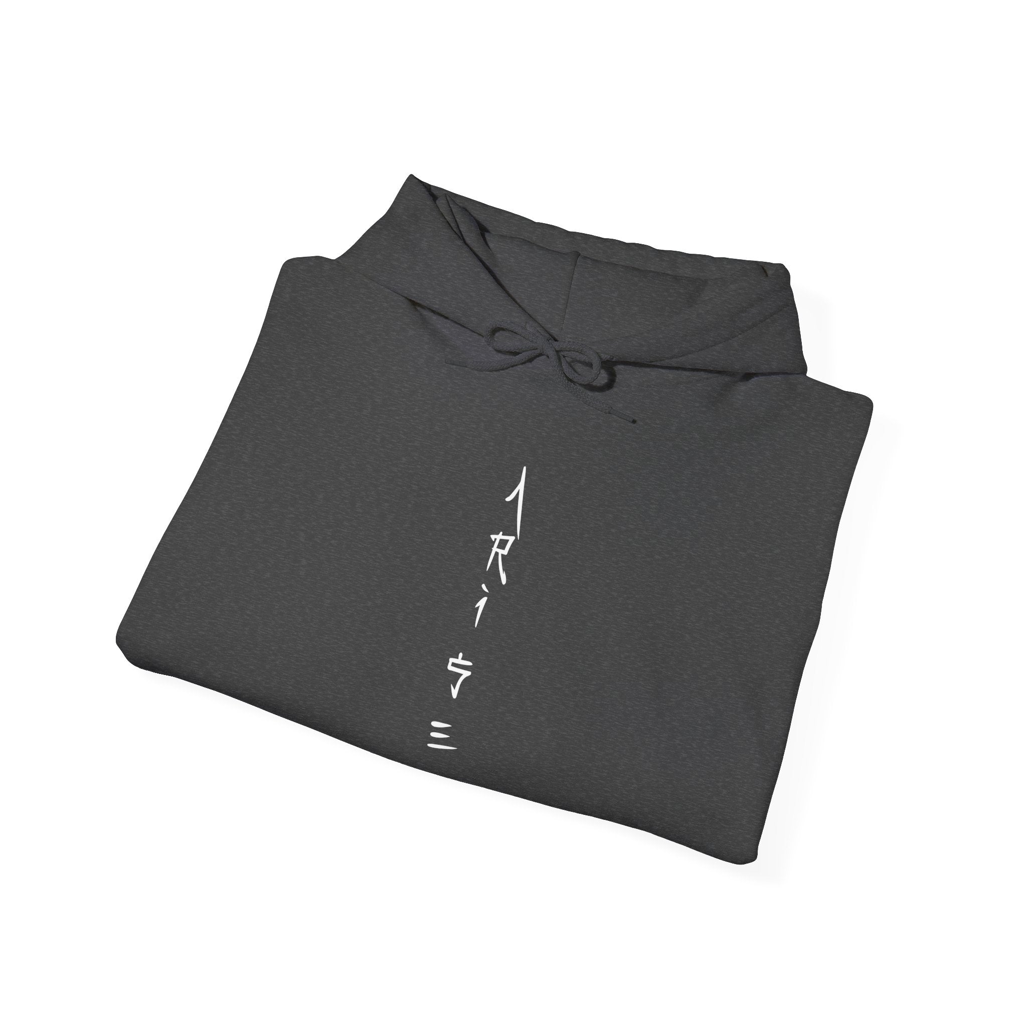 Arise Sung Jin Woo - Soft Longsleeve Solo Levelling Hoody