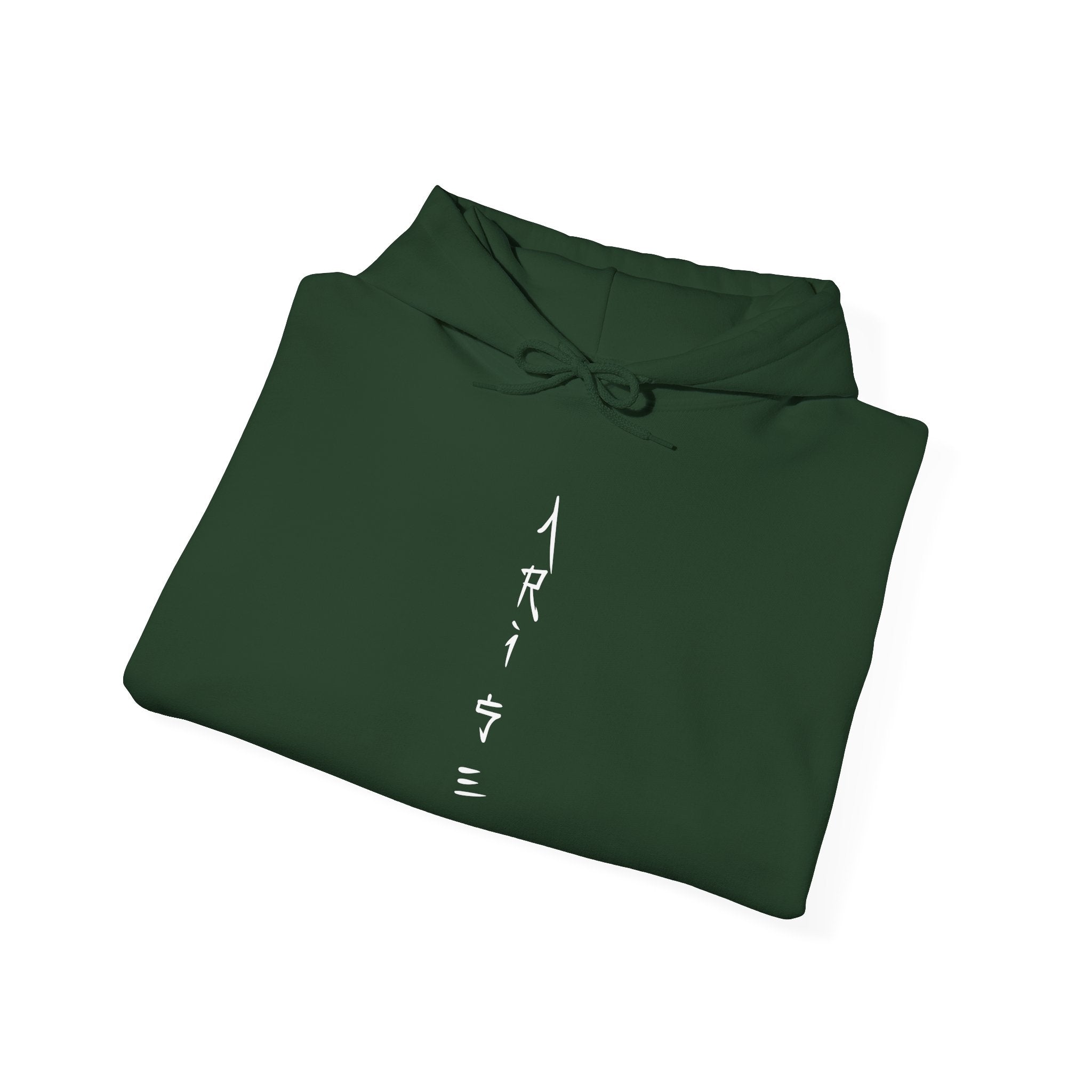Arise Sung Jin Woo - Soft Longsleeve Solo Levelling Hoody