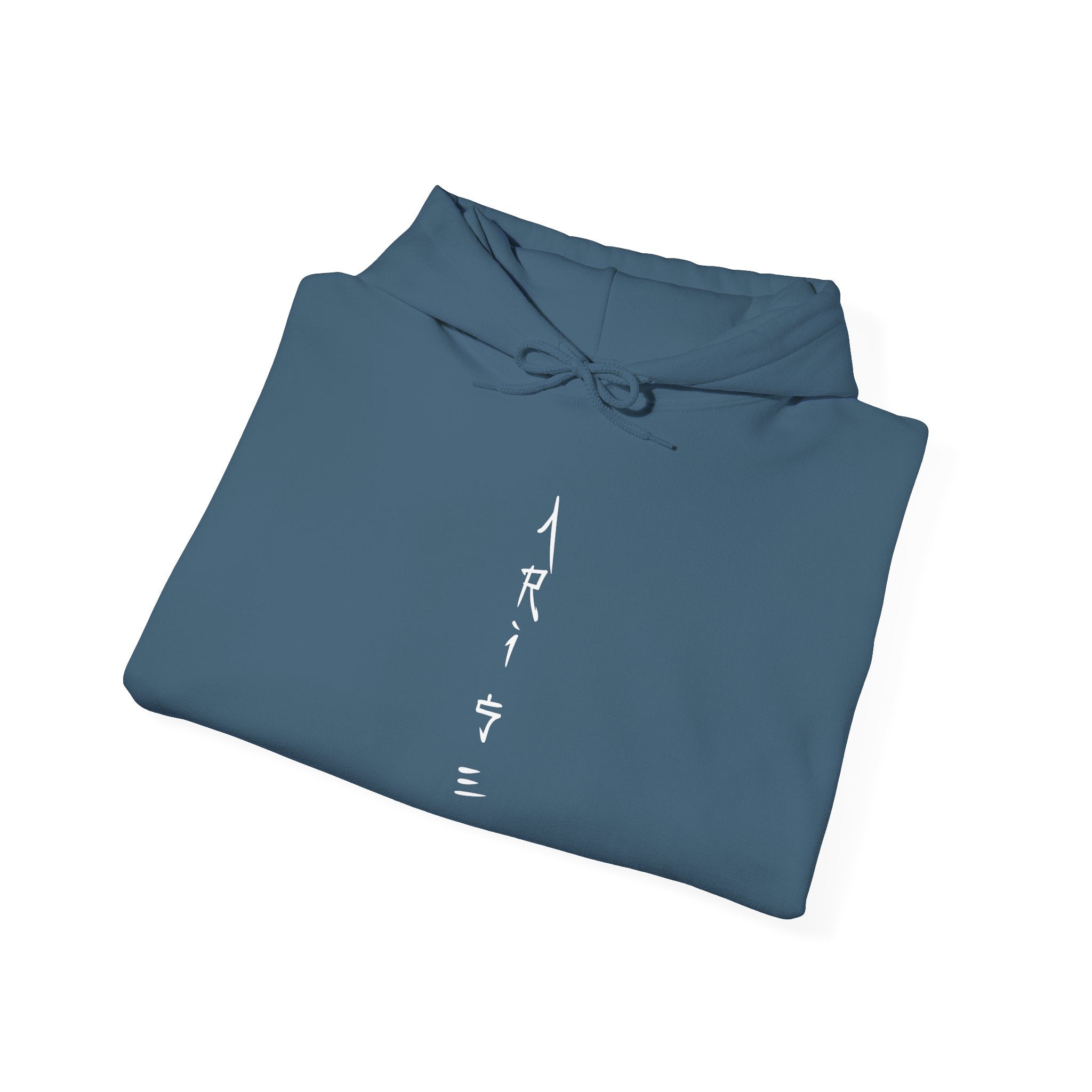 Arise Sung Jin Woo - Soft Longsleeve Solo Levelling Hoody